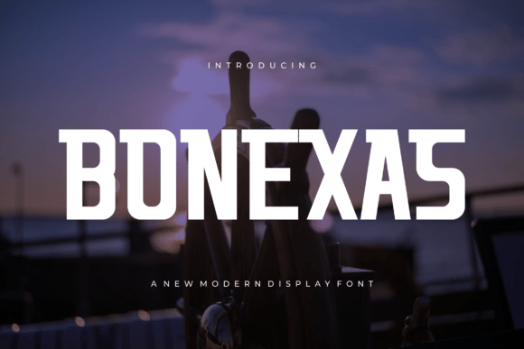 Bonexas Display Font: A Clean and Bold Typeface for Business Branding